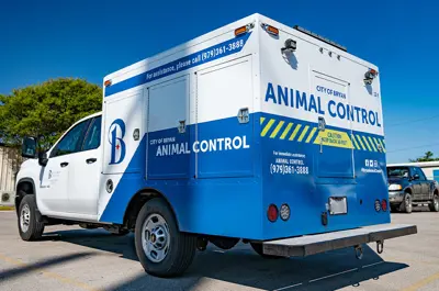 Animal Control Service Body Animal Services | City of Bryan