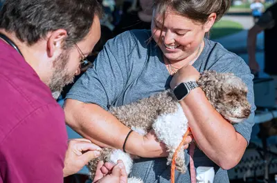 animal center staff administering vaccination to a dog being soothed