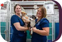 two animal services employees lovingly holding animals in the city's care