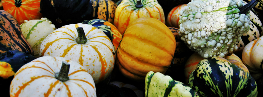 thanksgiving holiday closures
