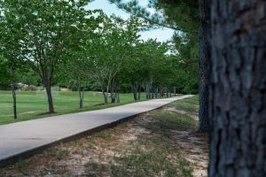 Tiffany Park Trail
