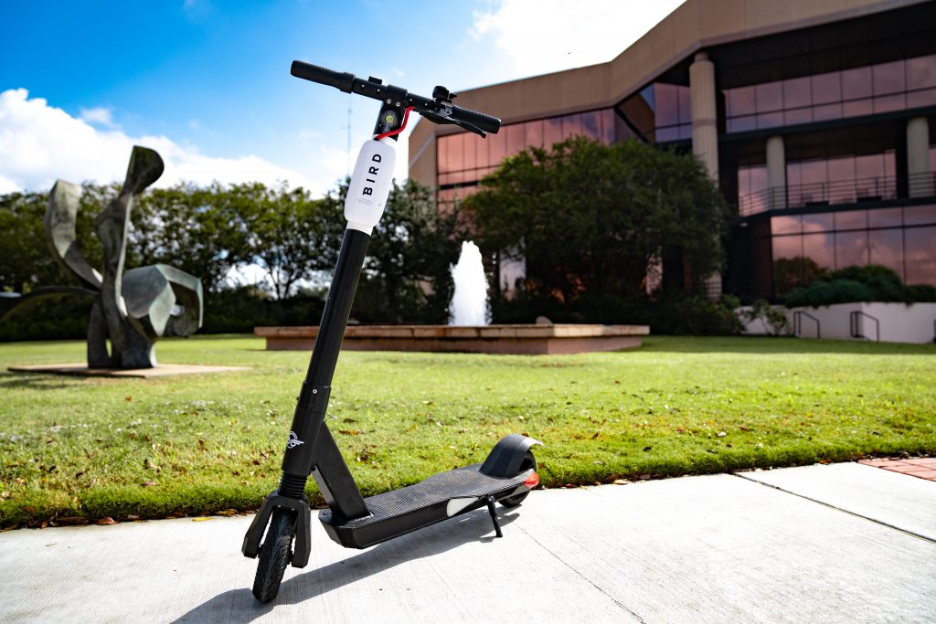 Bird Scooter in front of City Hall