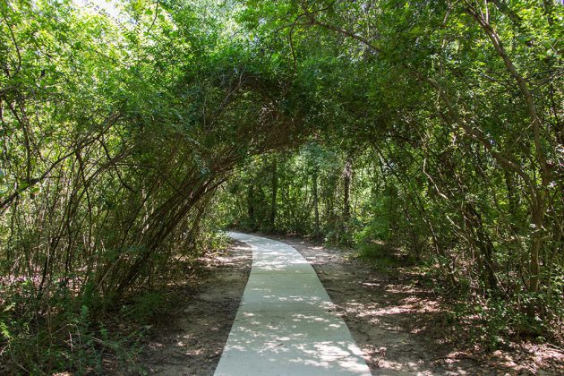 Rosewood Nature Trail