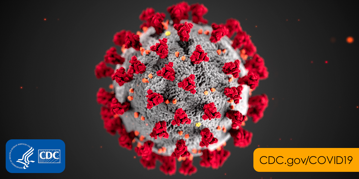 illustration of the novel coronavirus from the CDC
