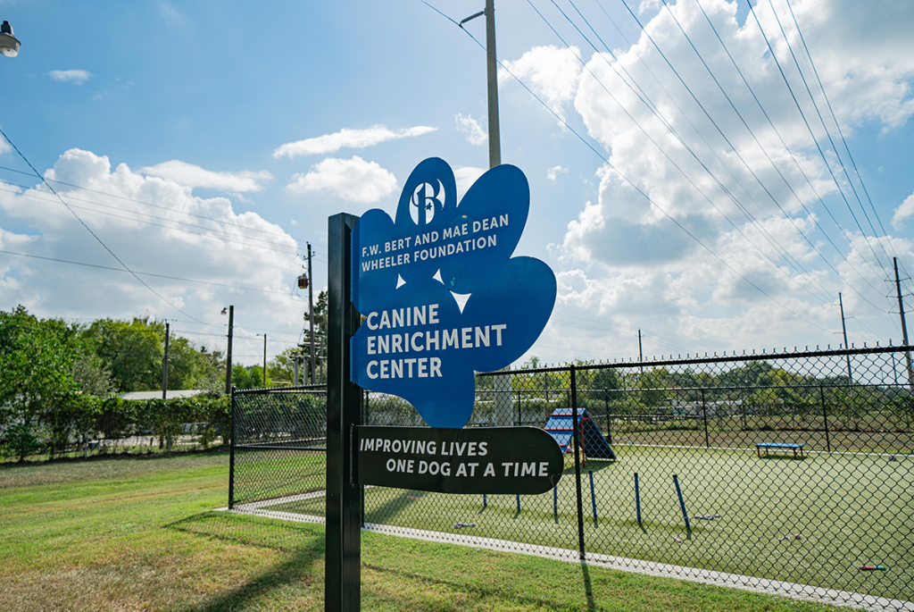 canine enrichment center