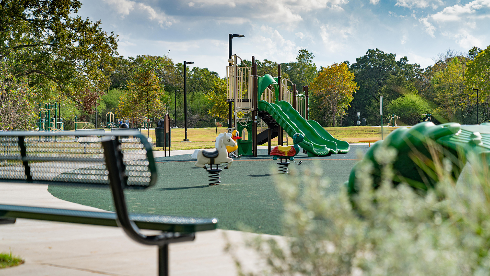 enjoy a park