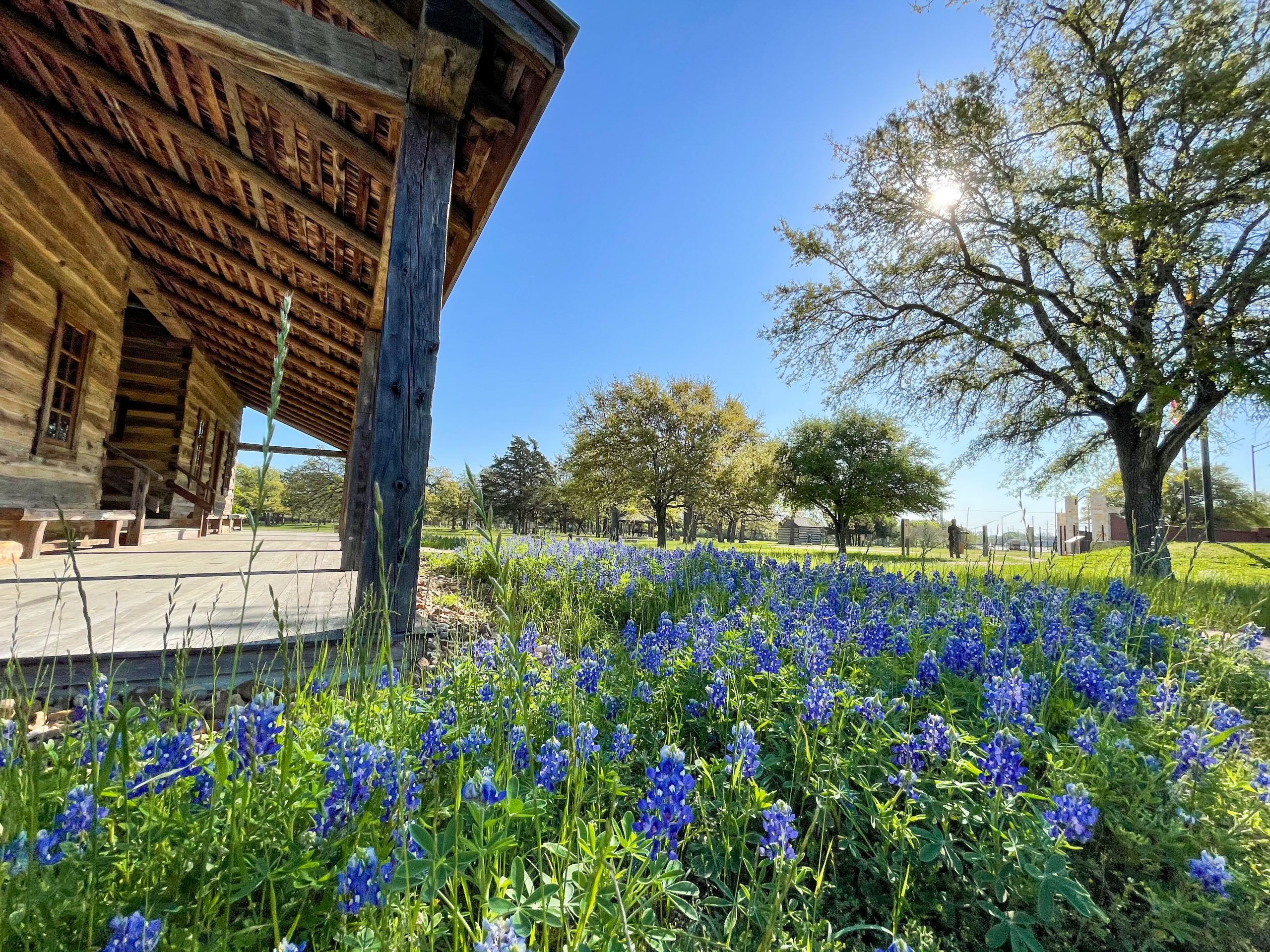 Boonville Heritage Park, bluebonnets