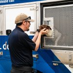 Animal Care and Control Appreciation Week