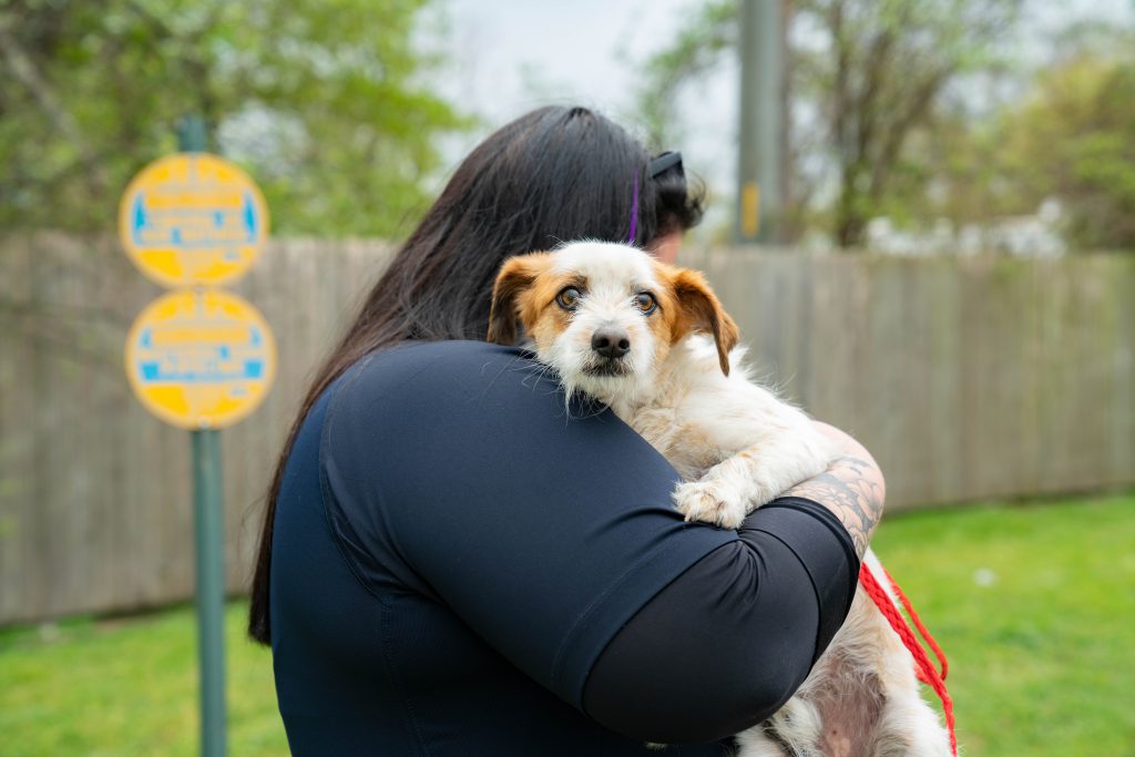 Animal Control officer holding a dog.