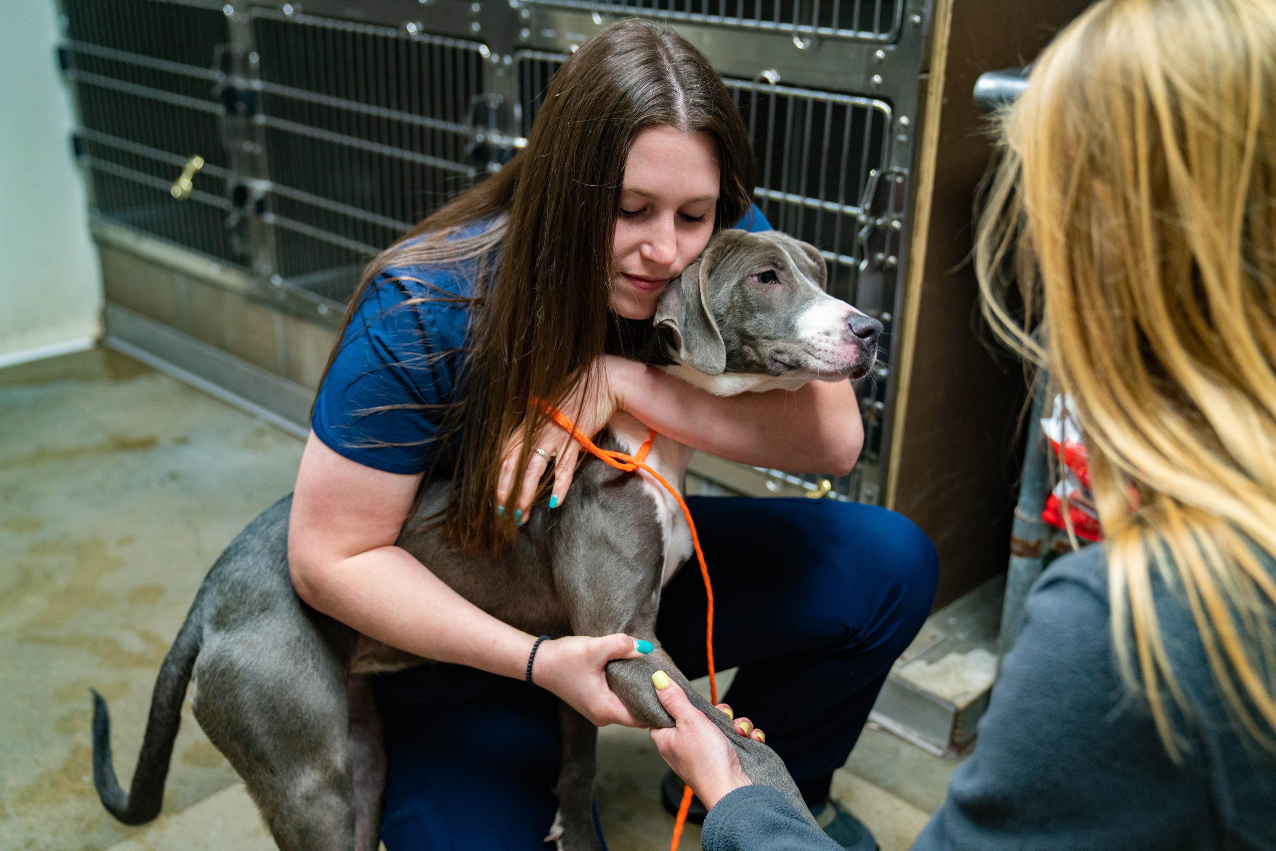 Animal Care Techs hold and comfort a dog while administering a vaccine