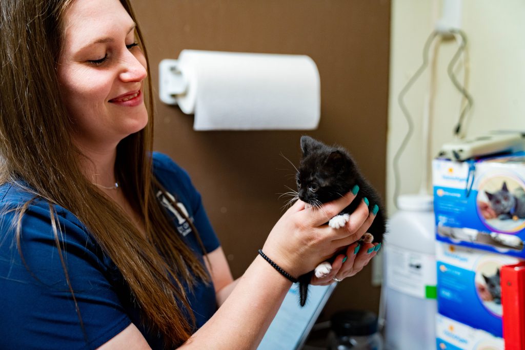 Animal Care Tech holding a kitten