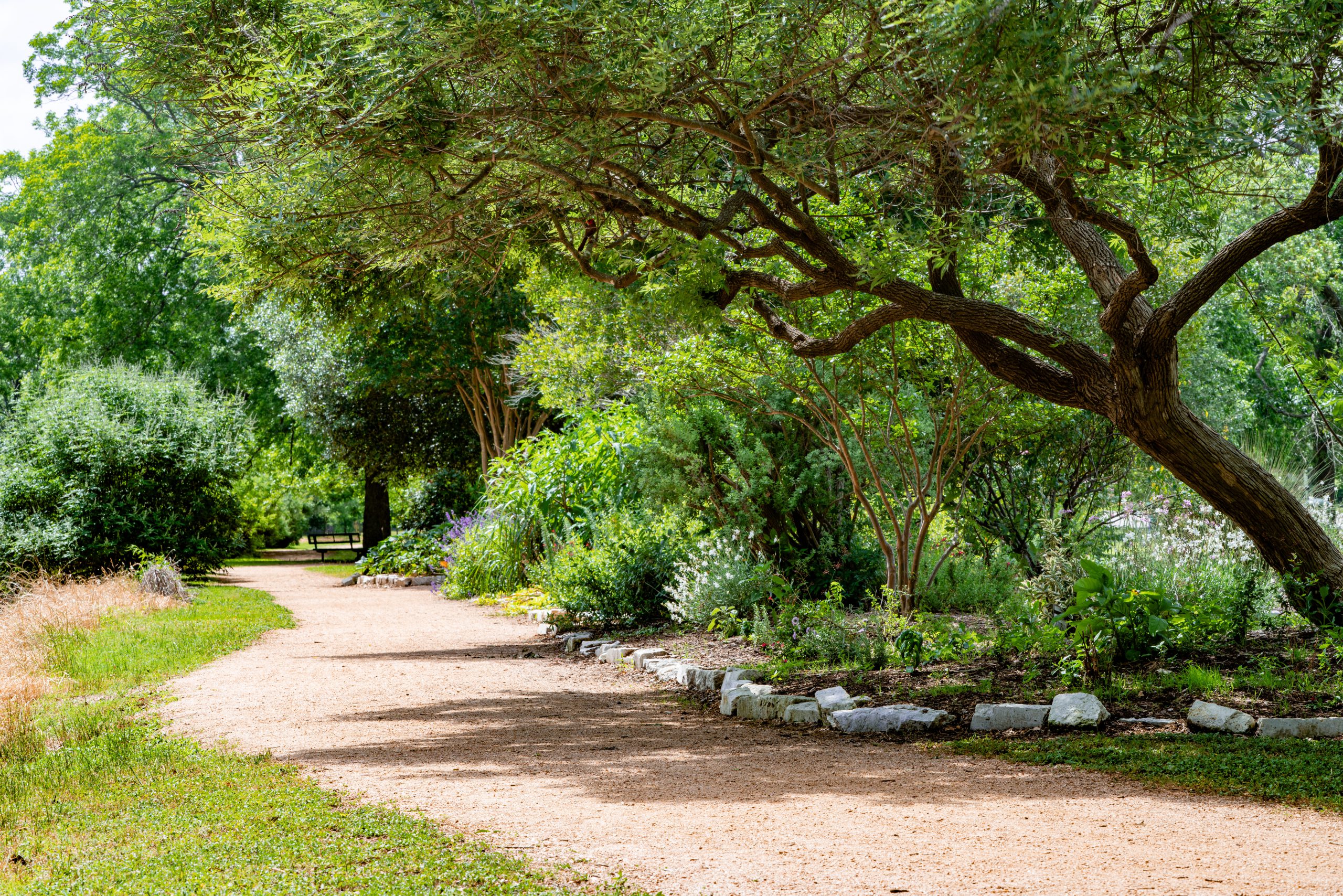 Photo of the trail at Camelot Park