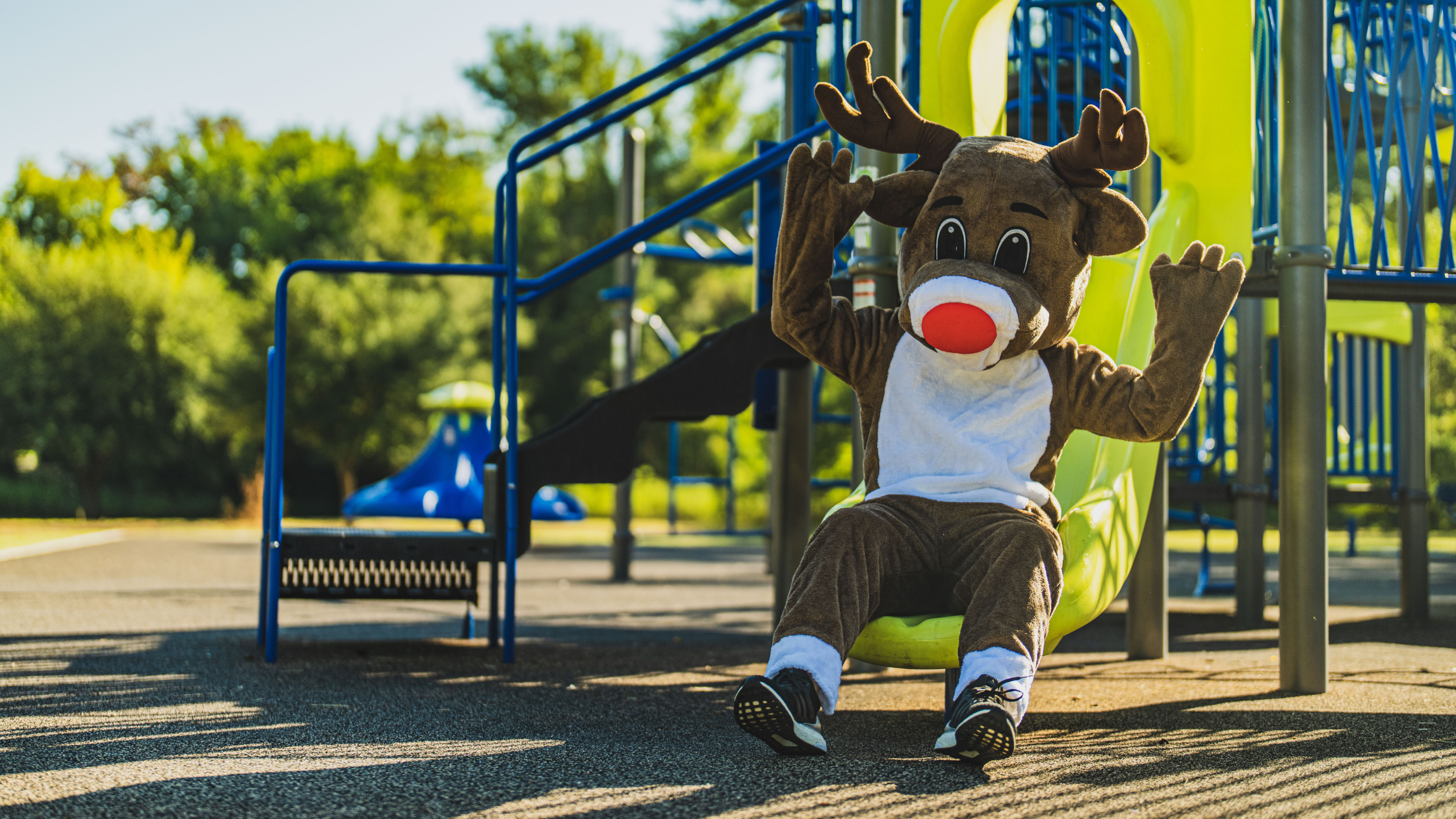 Reindeer sliding down a slide.