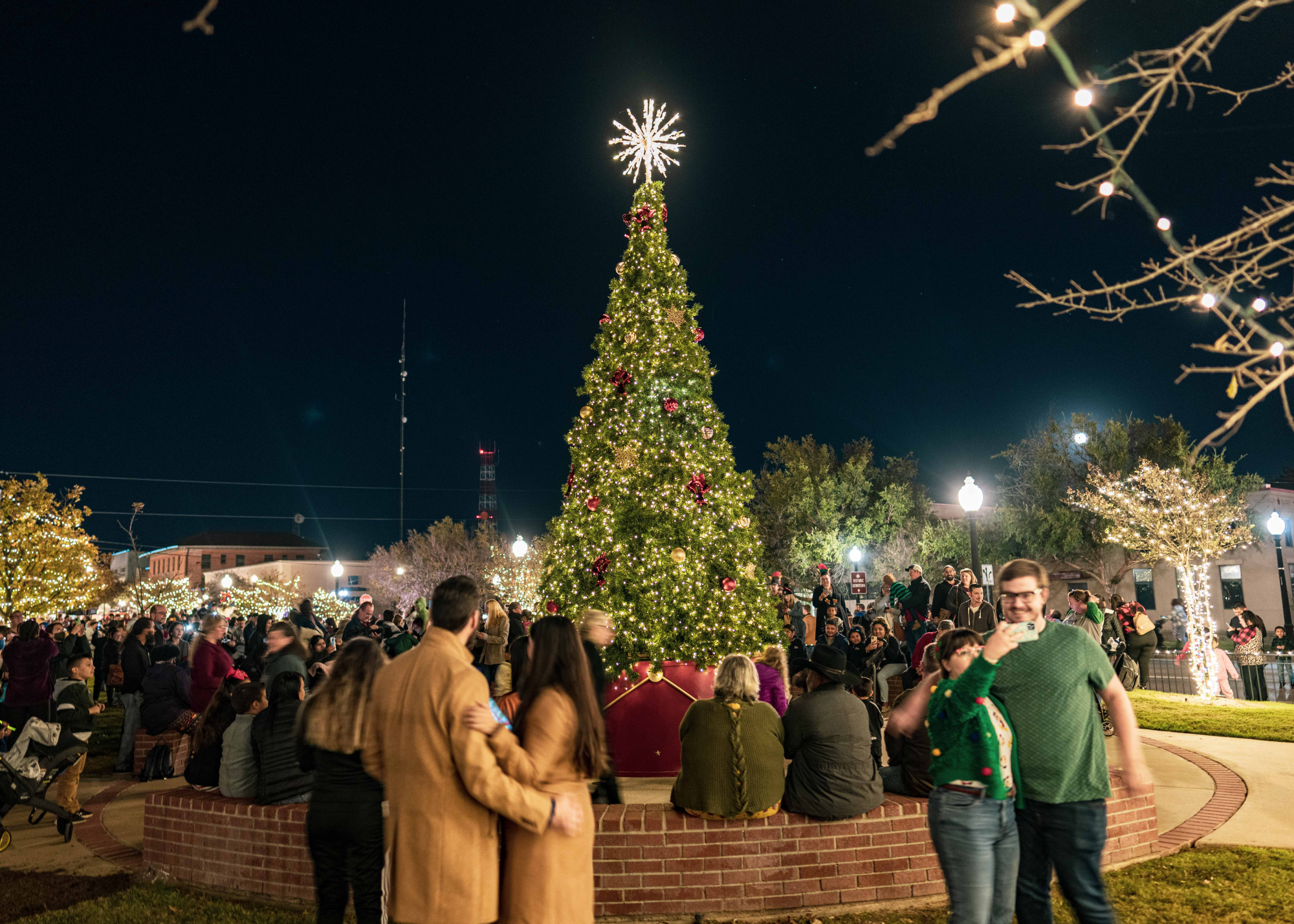 Photo of Christmas tree being lit at Lights On!
