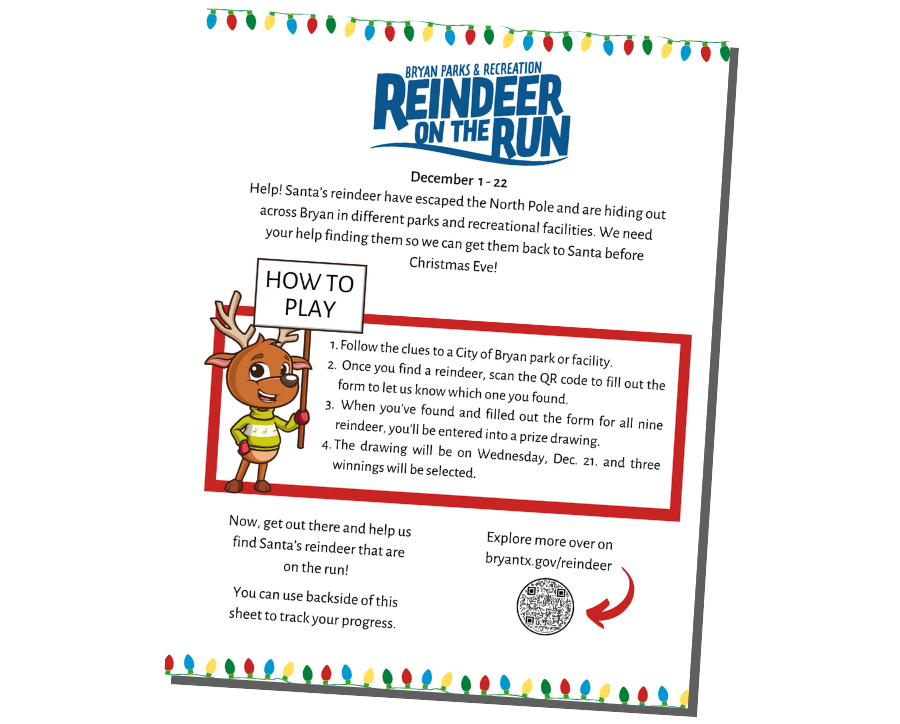 Reindeer on the Run Flyer