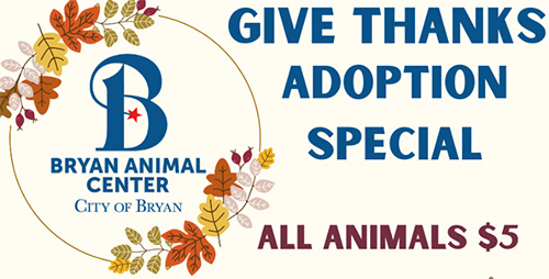 Give Thanks Adoption Special - all animals $5 during month of November