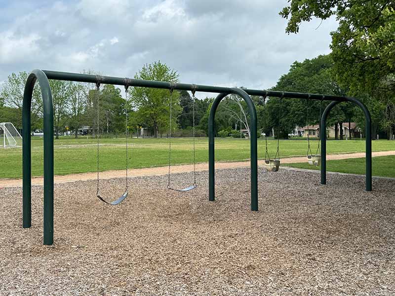 existing Bonham Park swingset.