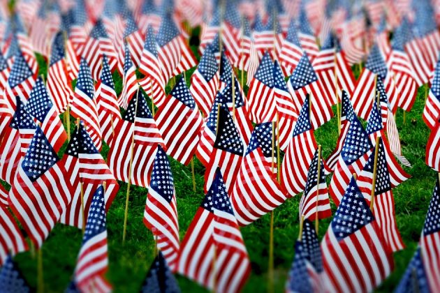 field containing a large number of small American flags staked into the grass