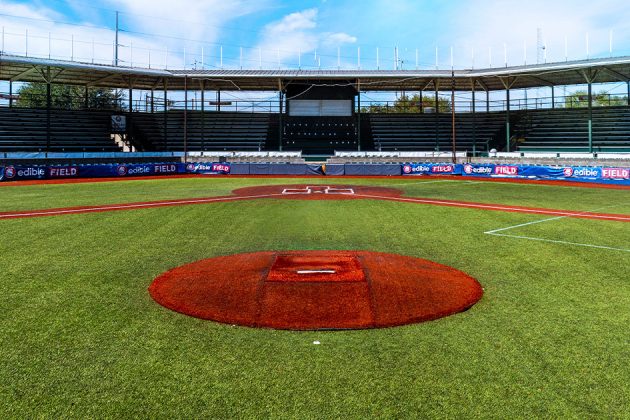Travis Major Field view of the stadium and home plate