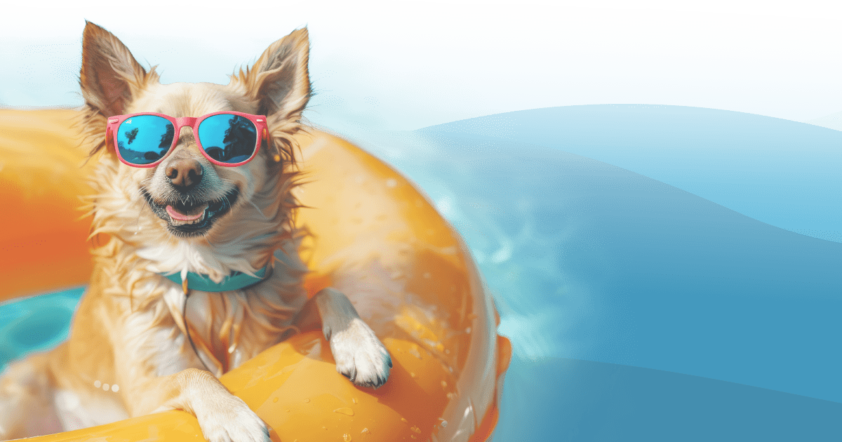 dog floating in a pool wearing sunglasses
